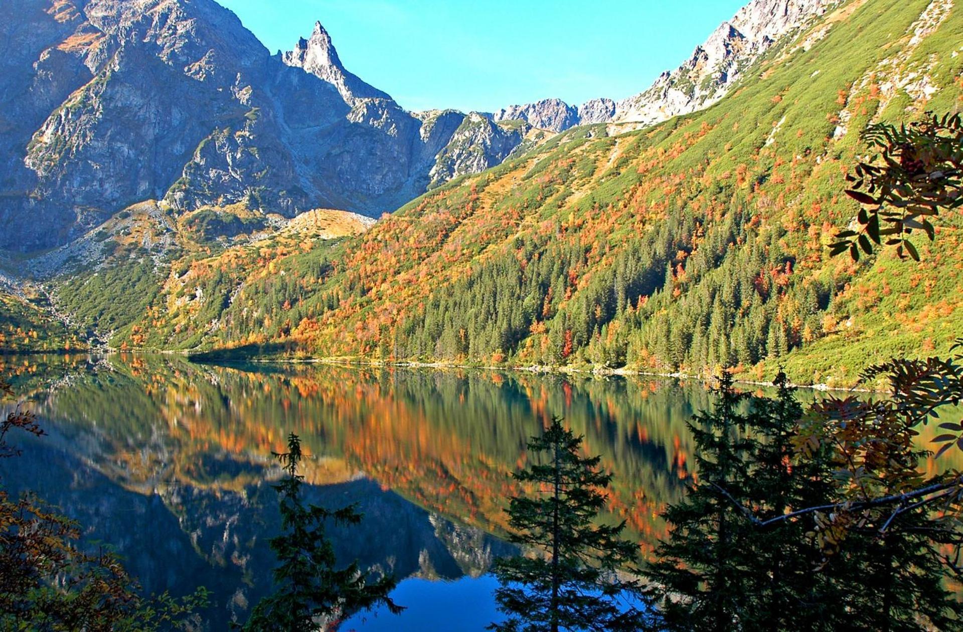Homestay Krupowki 36 / 8a - Pokoj 2 Osobowy Z Widokiem Na Giewont *